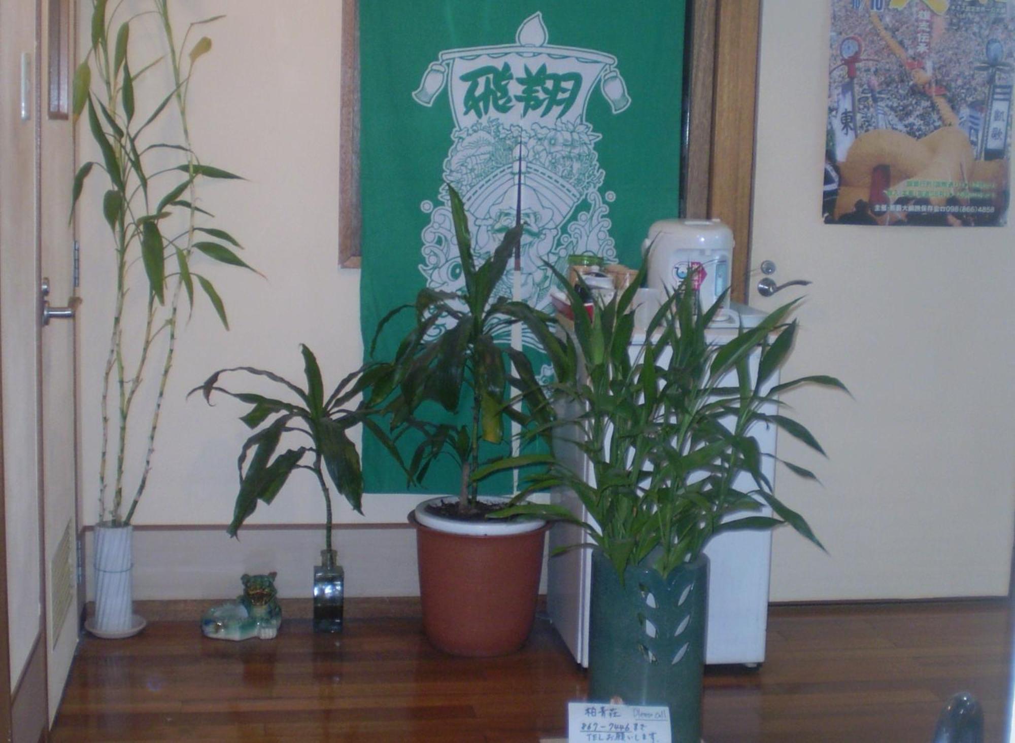 Hostel Hakuseiso Naha Extérieur photo