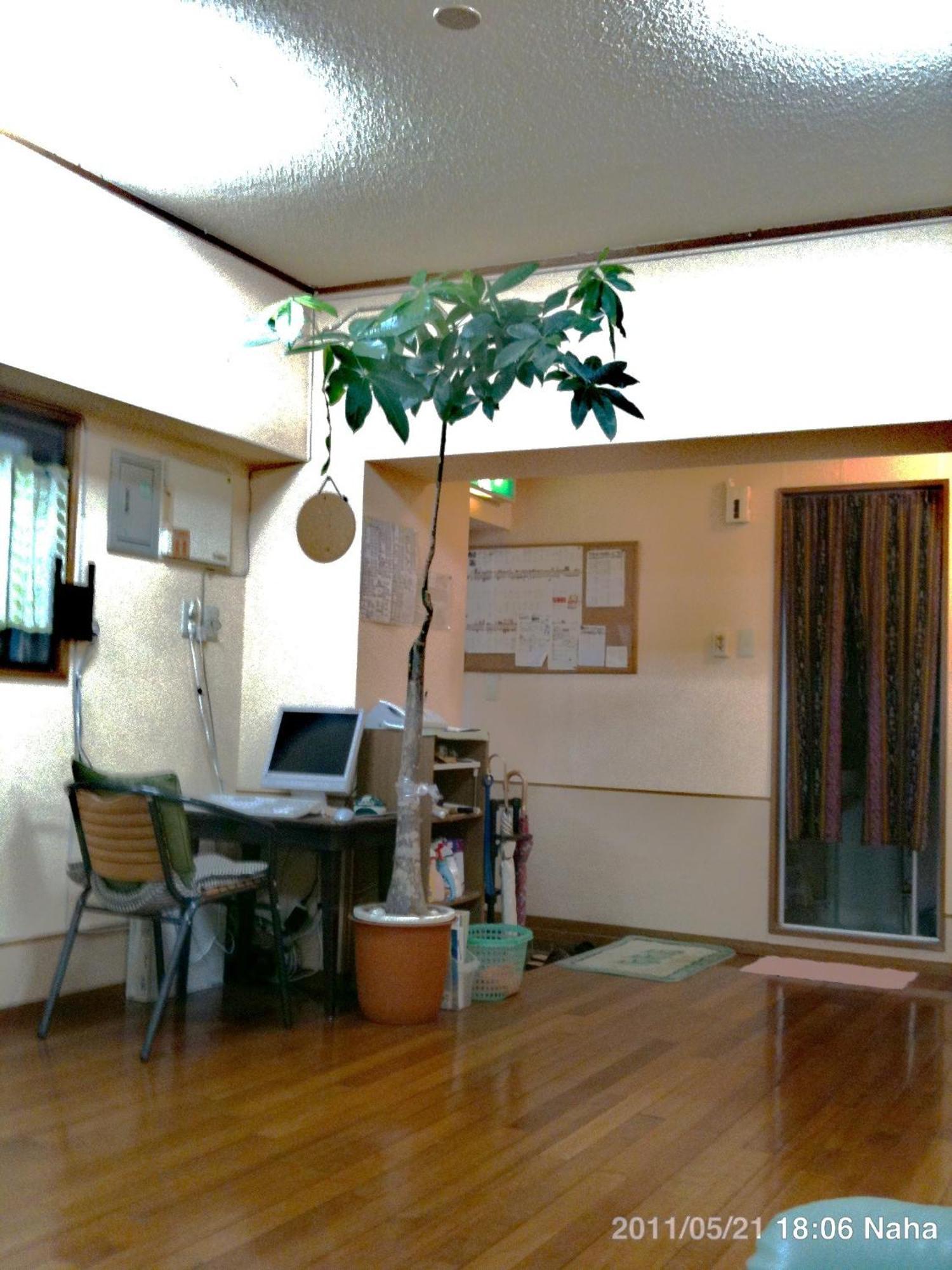 Hostel Hakuseiso Naha Extérieur photo